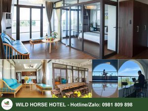 Phòng Executive Suite - Khách sạn 3 sao Biển Hải Tiến Wild Horse Hotel