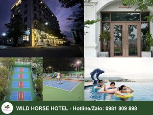 Phòng Executive Suite - Khách sạn 3 sao Biển Hải Tiến Wild Horse Hotel
