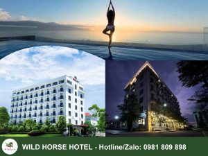 Khách sạn 3 sao Biển Hải Tiến Wild Horse Hotel